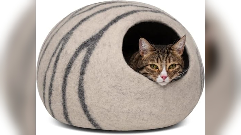 The 6 Best Cat Caves of 2026