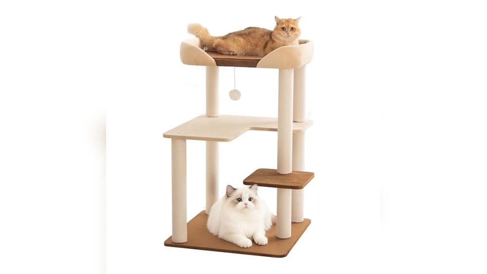 The 6 Best Cat Trees for Senior Cats of 2026