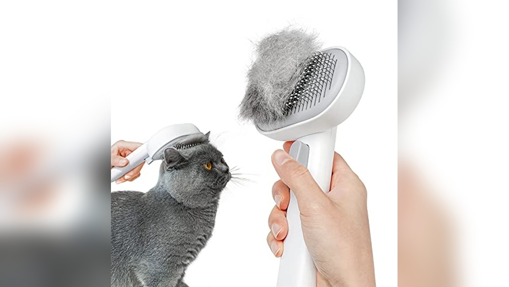 The 8 Best Cat Brushes of 2026 Tested With Real Cats And Kittens