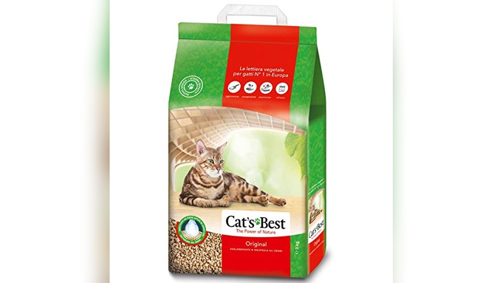 The 8 Best Cat Trees for Senior Cats of 2026