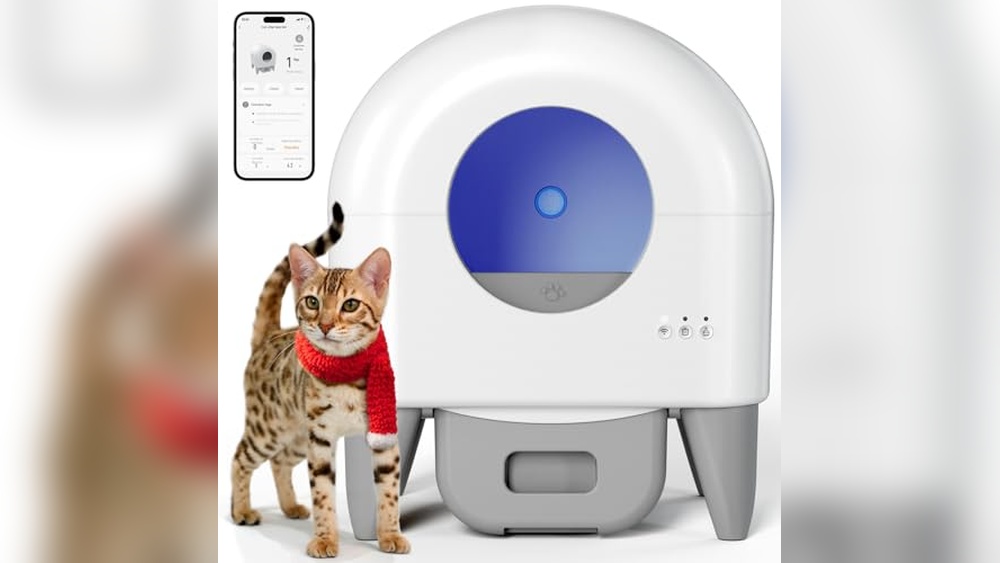 The Litter-Robot 5 Is the Best of the 23 Automatic Litter Boxes We'Ve Tested