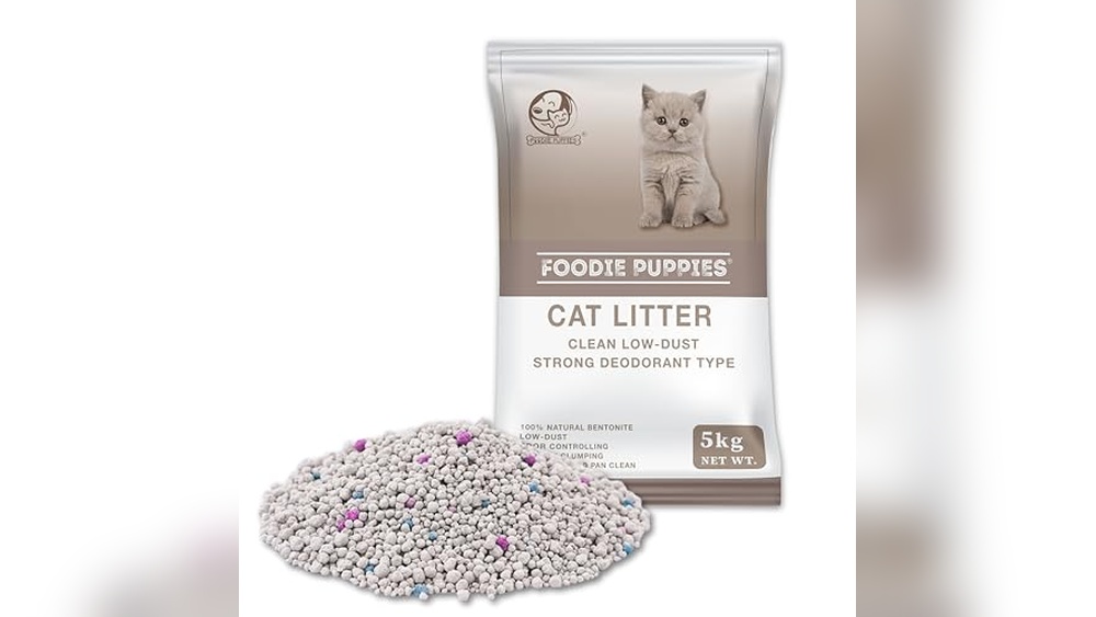 A Comprehensive Guide: 10 Types of Cat Litter for Every Feline Need