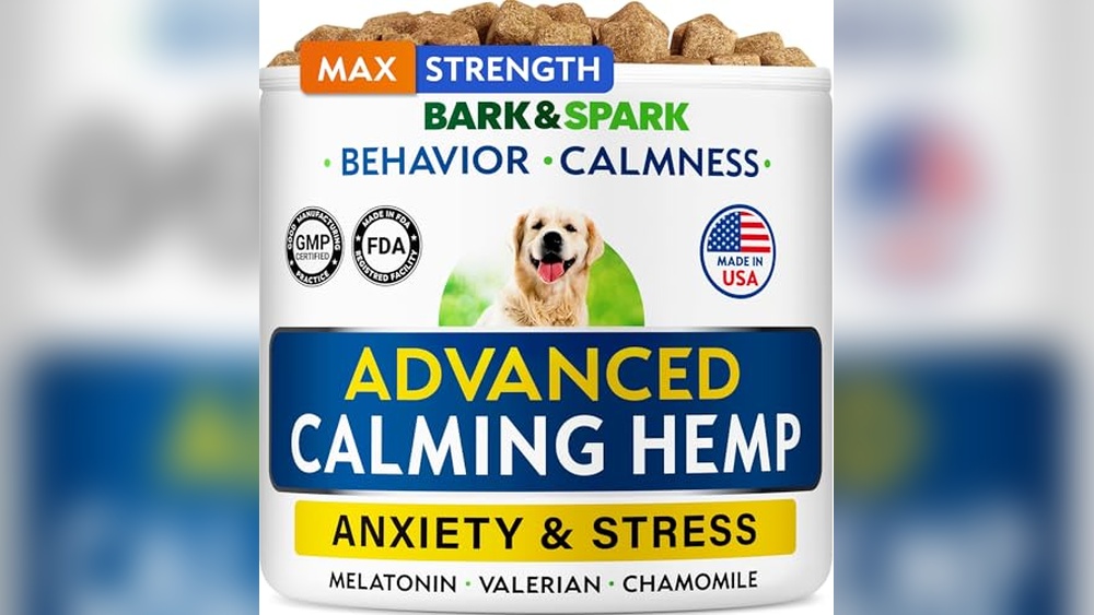 Best Calming Treats for Dogs During Fireworks