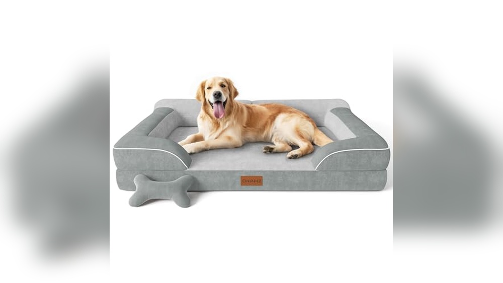 The 10 Best Cooling Dog Beds Tested With Real Dogs’