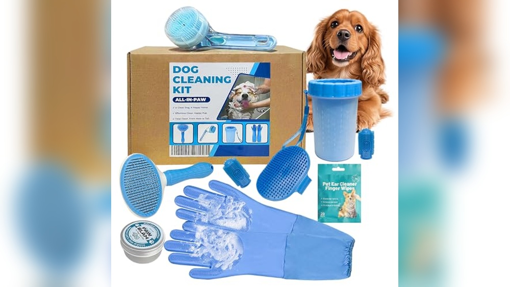 The 6 Best Dog Grooming Kits of 2026