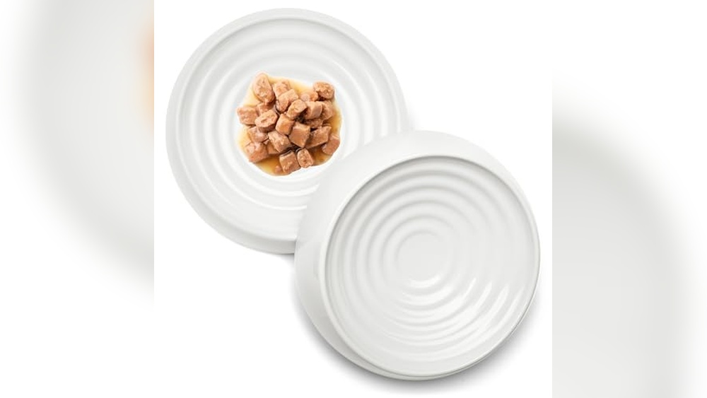 The 6 Best Whisker Fatigue Bowls of 2026