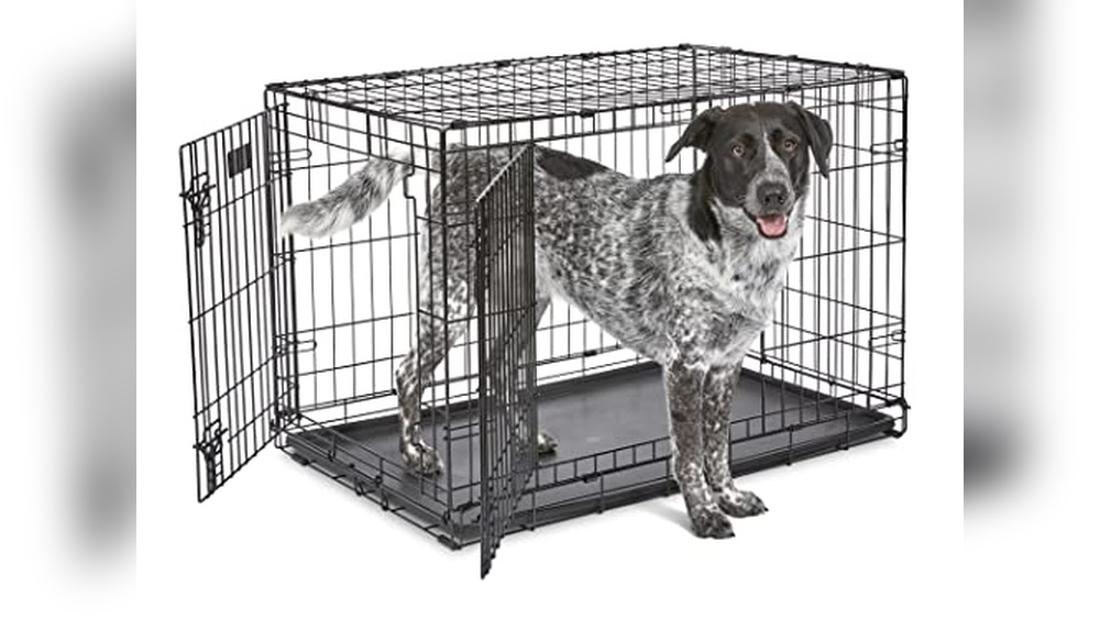 The 8 Best Dog Crates Tested In Our Lab And With Real Dogs