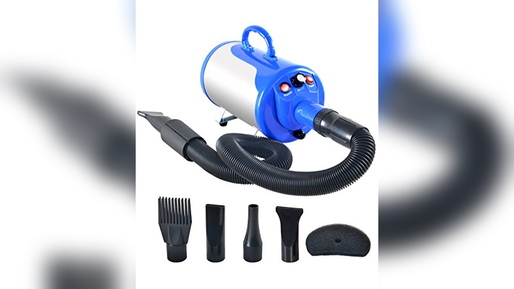 The 8 Best Dog Hair Dryers of 2026